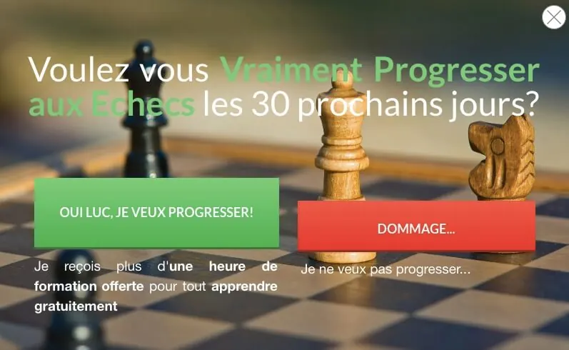 Exemple d'un popup (lightbox) de Thriveleads